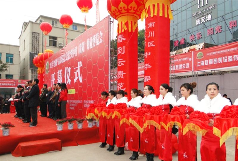 峰業(yè)博覽會開幕式 